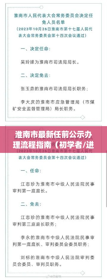 淮南市任前公示办理流程详解，初学者与进阶用户指南