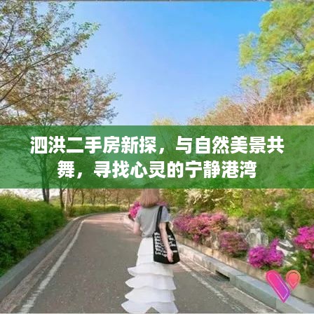 泗洪二手房新探，与自然美景共舞的心灵港湾探索