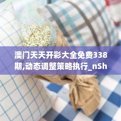 澳门天天开彩大全免费338期,动态调整策略执行_nShop1.320-5