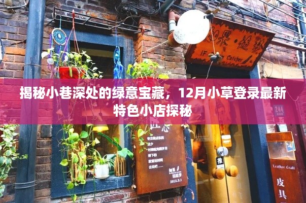 探秘小巷绿意宝藏，12月最新特色小店揭秘