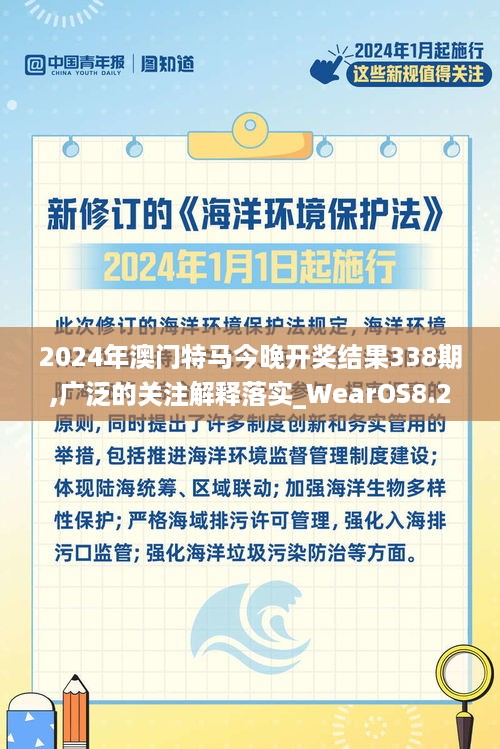 2024年澳门特马今晚开奖结果338期,广泛的关注解释落实_WearOS8.239-4