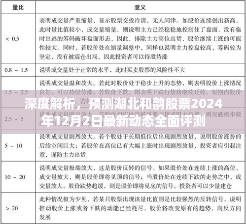 湖北和韵股票深度解析及最新动态全面评测，预测至2024年12月2日动态报告