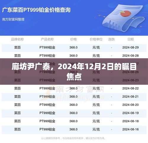 廊坊尹广泰，聚焦2024年12月2日瞩目时刻