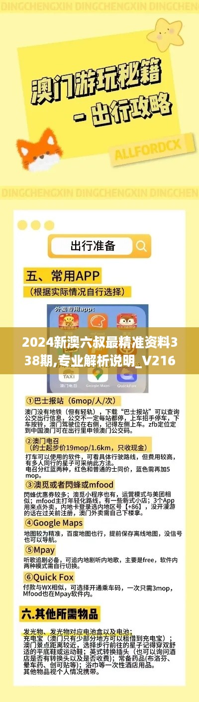 2024新澳六叔最精准资料338期,专业解析说明_V216.451-5