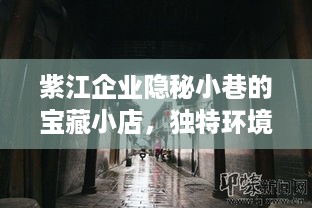 紫江企业小巷的宝藏小店，独特环境背后的惊喜探索