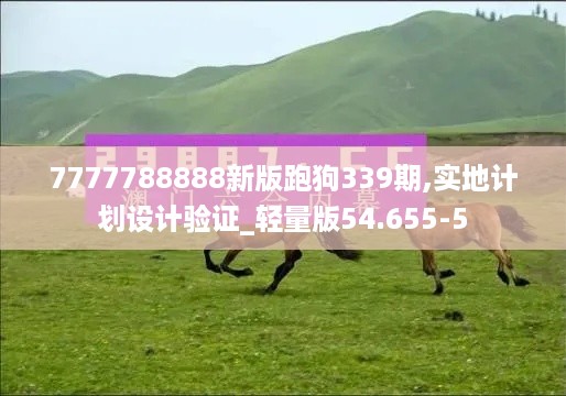 7777788888新版跑狗339期,实地计划设计验证_轻量版54.655-5