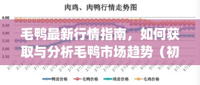 毛鸭市场趋势解析，最新行情指南与获取分析技巧（适合初学者及进阶用户）