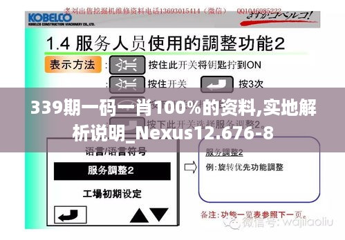 339期一码一肖100%的资料,实地解析说明_Nexus12.676-8