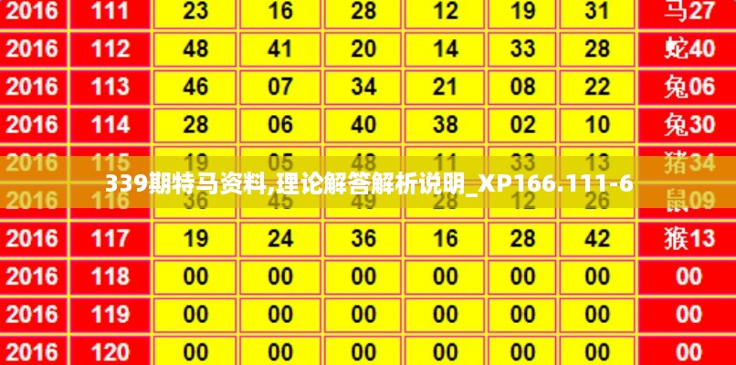 339期特马资料,理论解答解析说明_XP166.111-6