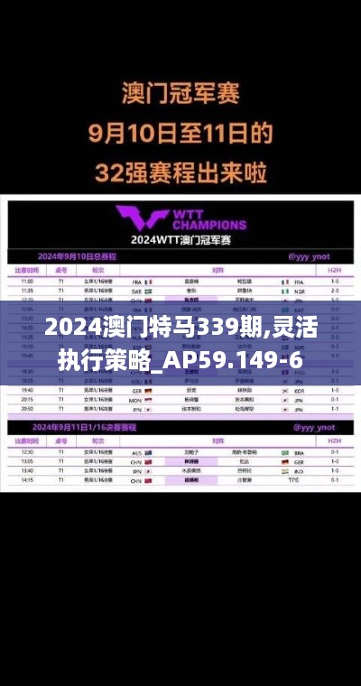 2024澳门特马339期,灵活执行策略_AP59.149-6