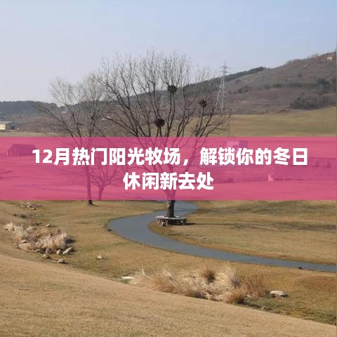 12月热门阳光牧场，冬日休闲新去处解锁