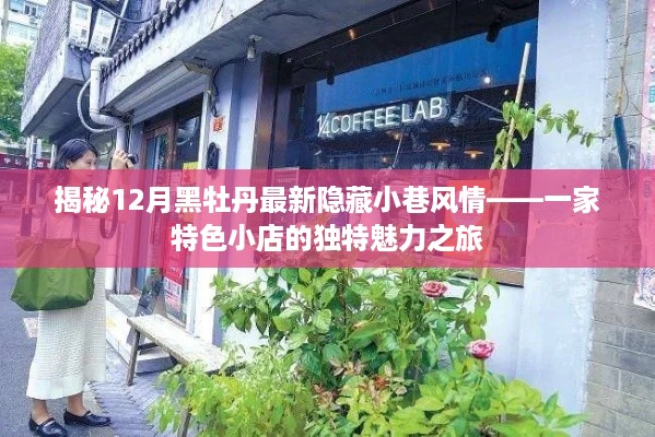 揭秘特色小店独特魅力之旅，黑牡丹隐藏小巷风情探秘（12月版）