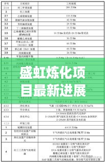 盛虹炼化项目最新进展深度解析，特性、体验、竞争态势与用户群体分析