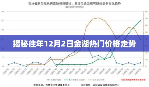 揭秘往年金湖热门价格走势，深度剖析十二月二日市场动态