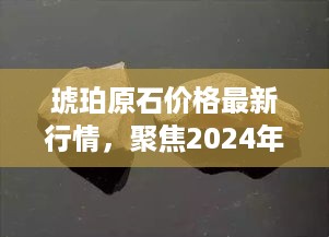 琥珀原石最新行情分析，聚焦行业洞察，洞悉未来趋势（2024年12月2日）