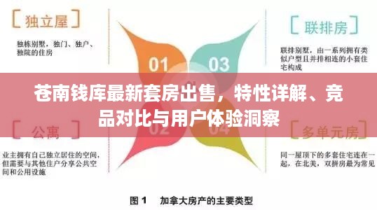 苍南钱库最新套房全方位解析，特性、竞品对比及用户体验洞察