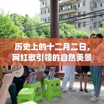 十二月二日网红歌引领的自然美景之旅，寻找内心的宁静与平和之旅