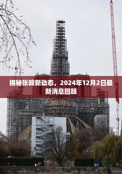 张翰最新动态揭秘，2024年12月2日消息回顾