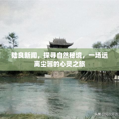 陆良新闻，探寻自然秘境，心灵之旅远离尘嚣