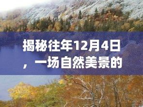 揭秘往年12月4日的自然美景之旅，心灵之旅的启程