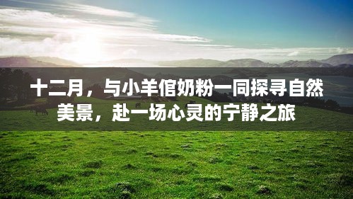 十二月探秘自然美景之旅，与小羊倌奶粉共赴心灵宁静之旅