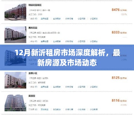 12月新沂租房市场深度解析，最新房源与动态一网打尽