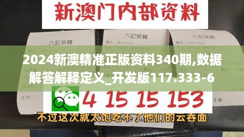 2024新澳精准正版资料340期,数据解答解释定义_开发版117.333-6