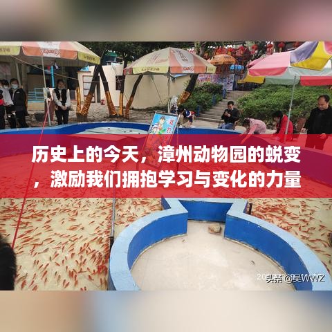 漳州动物园的历史蜕变，拥抱学习与变化的力量鼓舞人心