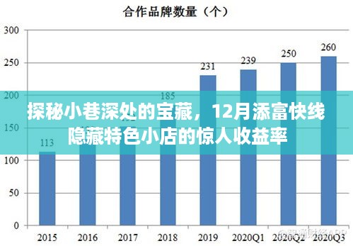 探秘小巷深处的宝藏，特色小店惊人收益率揭秘，添富快线隐藏宝藏大解密！