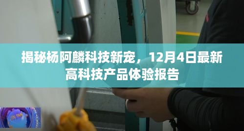 杨阿麟科技新宠揭秘，12月4日高科技产品体验报告独家呈现