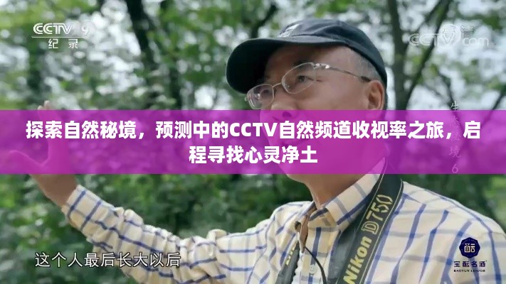 CCTV自然频道启程探索心灵净土，自然秘境之旅与收视率预测之旅