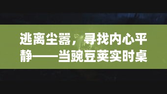 逃离尘嚣，自然美景与豌豆荚实时桌面的心灵魔法之旅，寻找内心平静之道