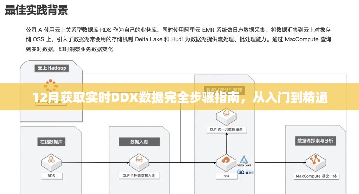 12月实时DDX数据获取完全指南，从入门到精通