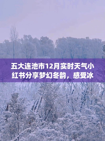 五大连池市梦幻冬韵冰雪奇缘的十二月实时天气小红书分享