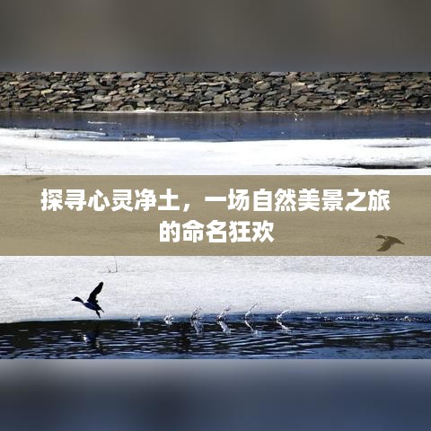 心灵净土探寻之旅，自然美景命名狂欢的启示