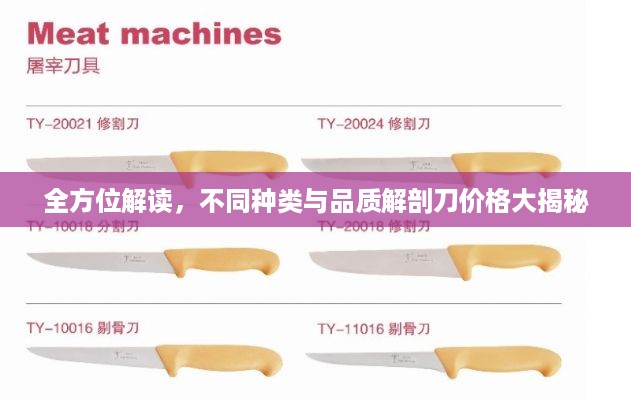 全方位解读，不同种类与品质解剖刀价格大揭秘