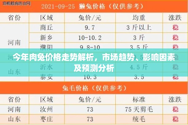 今年肉兔价格走势解析，市场趋势、影响因素及预测分析