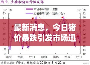 最新消息，今日猪价暴跌引发市场迅速反应，深度分析原因及影响