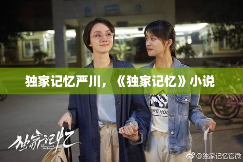 独家记忆严川，《独家记忆》小说 