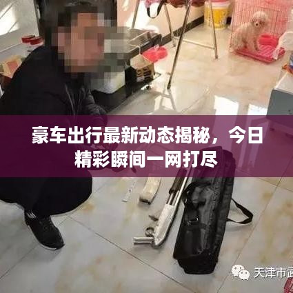豪车出行最新动态揭秘，今日精彩瞬间一网打尽