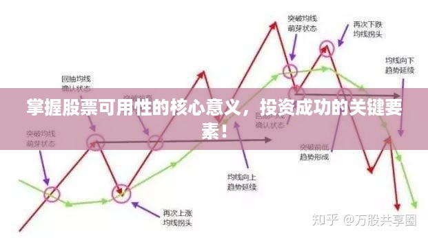 掌握股票可用性的核心意义，投资成功的关键要素！