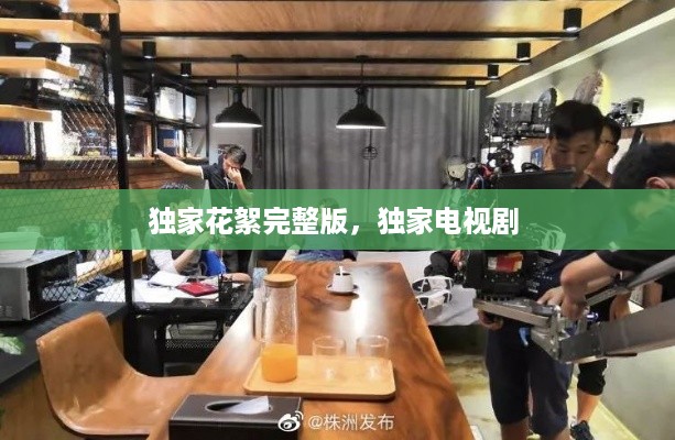 独家花絮完整版，独家电视剧 