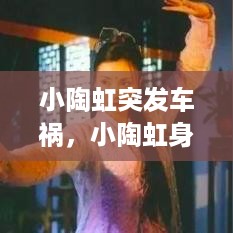 小陶虹突发车祸，小陶虹身世 