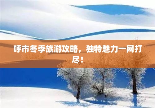 呼市冬季旅游攻略，独特魅力一网打尽！