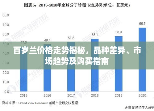 百岁兰价格走势揭秘，品种差异、市场趋势及购买指南