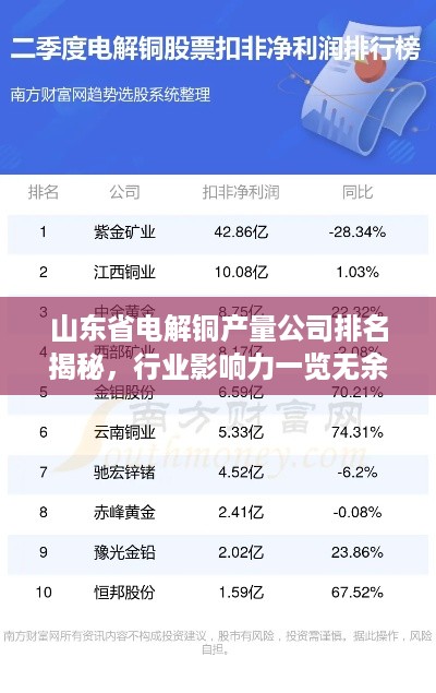 山东省电解铜产量公司排名揭秘，行业影响力一览无余