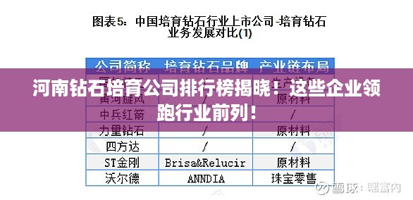 河南钻石培育公司排行榜揭晓！这些企业领跑行业前列！