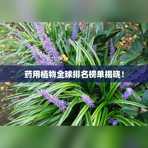 药用植物全球排名榜单揭晓！