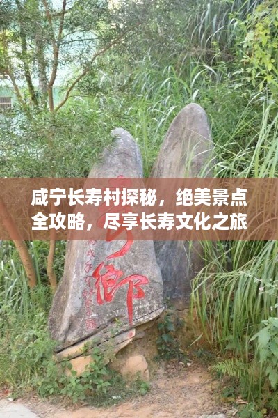 咸宁长寿村探秘，绝美景点全攻略，尽享长寿文化之旅