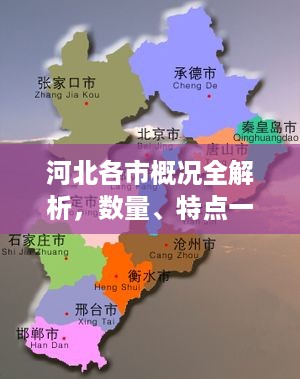 河北各市概况全解析，数量、特点一览无余